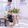 Dog Collars Leashes Durable Automatic Retractable Pet Puppy Traction Rope with Rechargeable LED Light Walking Dog Belt Leash 220923