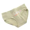 Teenage Panties Floral Printed Underpants Young Girl Briefs Comfortable Cotton Grenn Panties Kids Underwear 20220927 E3