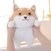 Plush Dolls 1pc Lovely Fat Shiba Inu Corgi Dog Toys Stuffed Soft Kawaii Animal Cartoon Pillow Gift for Kids Baby Children 220924