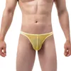 Underpants Mens Sexy Briefs Transparent Panties Underwear U Pouch Hombre Bragas Low Waist Men Lingerie Tangas Biniki