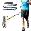 Collari per cani Guinzaglio riflettente per animali domestici Allenamento all'aperto Corsa Jogging Elastico con cintura in vita Guinzagli con anello a D a mani libere