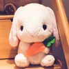 Plush Dolls 43cm Cute Stuffed Rabbit Toy Soft s cushion Bunny Kid Pillow Doll Birthday Gifts for Children Baby Accompany Sleep 220924