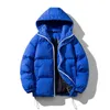 겨울철 격자 무늬 zip 따뜻한 코트 스트리트웨어 레트로 따뜻한 후드 버블 코트 캐주얼 클라인 블루 복어 재킷 220927을위한 남성을위한 남성 다운 파카 코트