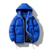 Manteau Parkas pour hommes pour hommes pour l'hiver Plaid Zip chaud épaissir manteau Streetwear rétro chaud à capuche manteau à bulles décontracté Klein bleu doudoune 220927