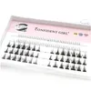 Natural Flase Eyelashs Extension ympning Enkel klusterögonfransar Makeup Beauty New Lazy Little Devil Cos False Eyelash