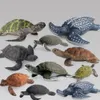 Anime Manga Ocean Sea Life Simulation Animal Model Set Shark Whale Turtle Crab Dolphin Action Toys Figures Kids Eonal Collection Gift 220923