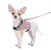 Collari per cani Pettorina per animali Guinzaglio Set Felpe con cappuccio Fibbia a strisce Gatto riempito Spugna Morbida e calda Imbracature da passeggio Guinzagli Forniture