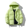 Manteau Parkas pour hommes pour hommes pour l'hiver Plaid Zip chaud épaissir manteau Streetwear rétro chaud à capuche manteau à bulles décontracté Klein bleu doudoune 220927