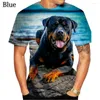 Мужские рубашки T 2022 EST модный дизайн личности милый домашний собака Rottweiler 3D-печатная футболка смешные стильные мужские и женщины