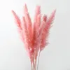 Decorative Flowers Artificial Colorful Bulrush Natural Dried Branch Pampas Grass Home Decor Phragmites Wedding Party Supplies