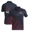 Uniformes da equipe de corrida F1, camisetas de lapela da série de corrida de verão, camisetas esportivas casuais personalizadas, camisas POLO de manga curta