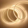 Strips AC220V Led Strip Lights SMD 2835 120LEDs/m High Brightness Outdoor Waterproof Light Flexible Warm White/White