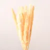 Decorative Flowers Artificial Colorful Bulrush Natural Dried Branch Pampas Grass Home Decor Phragmites Wedding Party Supplies