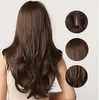 Court Bouclés Pleine Perruque Ombre Cheveux Synthétiques Naturels Déguisements Cosplay Party perruques de cheveux pour les femmes