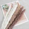 Decorative Flowers Pampas Natural Dried Bundle Of Small Reed Grass Plants Business Wedding Home 15PCS Phragmites Communis Boho Decor