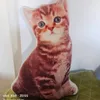 Travesseiro de gato 3d travesseiros decorativos para cama de sofá, travesseiros estampados fofos do presente