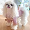 Odzież dla psa Mała dzianinowy sweter Puppy Costume dla kotów płaszcz Chihuahua pudle pomeranian maltańskie ubrania Yorkie ubranie