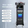 2023 Microdermabrasion Cool Hammer RF Skin Care Machine Hydro Oxygen Jet hydra dermabrasion Beauty Equipment