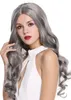 Popular Beautiful Wig Wig Wig Long Wavy Middle Part Silver Grey