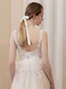 A-Line Wedding Dress Backless Romantic Lace Applique Beach Boho Bridal Dress LD8038