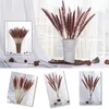 Decorative Flowers Pampas Natural Dried Bundle Of Small Reed Grass Plants Business Wedding Home 15PCS Phragmites Communis Boho Decor