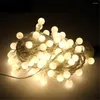 Strings 20mm Ball Led String Light AC220V Christmas Fairy Decoration Indoor/Outdoor 8 Modes Hanging Lamp For Xmas Tree Party Wedding