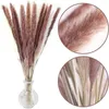 Decorative Flowers 30pcs Dekoration Small Reed Natural Dried Pampas Grass Phragmites Artificial Plants Wedding Flower Bunch