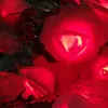 Cordes 3M à piles LED Rose fleur vacances de noël guirlandes lumineuses pour la décoration de mariage de la saint-valentin 10/20 lampe