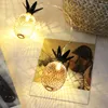 Strings ananas LED -touwtjeslichten 1m 1,5 m 2m 3m vakantieverlichting voor kerst trouwfeest huizen tuin binnensoor buiten decoratie