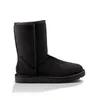 Designer Aus Snow Boots Women Shoes Classic Sneakers Ankle Bailey Bow II Chestnut Korte Zwart grijze Outdoor Winter Boot