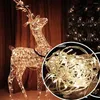 Strings DC12V LED String Lights Waterproof Christmas Light With Power & Remoter For Wedding Party Holiday Xmas Indoor Outdoor Decoration