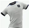 エクアドル2022ワールドカップサッカージャージーホームYwllow away biue pervis estupinan new 2023 Gonzalo Plata Michael Estrada Shirts Thaily Quality Maillots de Foot