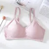 Bustiers korsetter Summer Girls Beauty Back Anti tömd bh Camisole Cotton Underwear-Style Rim Push-Up