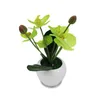 Dekorativer Blumenstrauß, künstliche getrocknete Topfpflanze, Ornamente, Bonsai, Phalaenopsis, Zuhause, Seide, Arrangements, Hochzeit, Requisiten, Fake