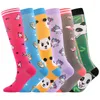 Sports Socks 2022 Original masculino e feminino