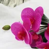 Bouquet de fleurs décoratives, plantes artificielles séchées en pot, ornements bonsaï Phalaenopsis, arrangements El en soie pour la maison, accessoires de mariage, faux
