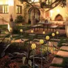 Luce solare da terra Cortile Paesaggio Stand per feste Decorazione da giardino Lanterna Palo di cristallo per esterni Illuminazione impermeabile