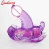 Skönhetsartiklar Handsfree Vibrator Faryfly Jump Egg Wear Sexiga leksaker för kvinnor Bullet Clitoral G Spot Stimulators Anal Plug Product Produkt