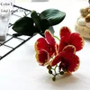 Flores decorativas Orquídeas de mariposa artificial Real Toque Natural Phalaenopsis Central Piece Decoración Arreglo de mesa de café