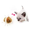 Cat Toys 1PC Pl￼sch Funny Dog Shaking Bewegung Little Maus Rattenk￤tzchen Interaktive Spielzeugfell Haustier Lieferungen Geschenke