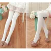 Sports Socks Spring Winter Women Knee Alta qualidade Twist Girl Lace Over Warm Tube Stocking Feminino Feminino