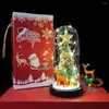Décorations de Noël Table Top Table Arbres artificiels dans le dôme en verre vert avec une corde à LED Light Holiday Table Ornement Wit Wit