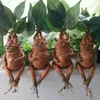 Decorative Objects Figurines Garden Ornaments Mandrake Plant HP Ugly Mandragora Resin Art Artificial Plants for Home Decoration Desk Office Balcony Decor 220928