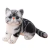 المحاكاة الأمريكية Shorthair Cat Plush Toy محشوة LifeLike Siamese Cats Animals Toys Doll for Children