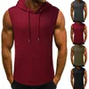 Herrtankstoppar män sweatshirt ärmlös höst våren casual hoodies topp pojke blus spårdräkter tröjor mode sport fitness väst