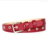 Ceintures Punk Oeillet Pour Dames Jeans Conception Boucle En Métal Rouge Ceinture Ceinture