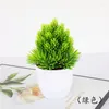 Fleurs décoratives 1pc simulé plantes vertes bonsaï artificiel petit arbre faux bureau Table en pot ornements maison jardin