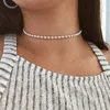 Collier ras du cou élégant Simple perles de cristal collier pour femmes Sexy mode tour de cou Colar Vintage bijoux colliers cadeau YN521