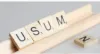 Metal Pintura de metal Scrabble Loupas Stand Regras 19 cm Comprimento sem letras Stands de madeira