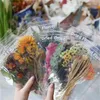 Presentförpackning 6st/packa stora växter blommor handkonto material klistermärken transparent husdjur deco papper